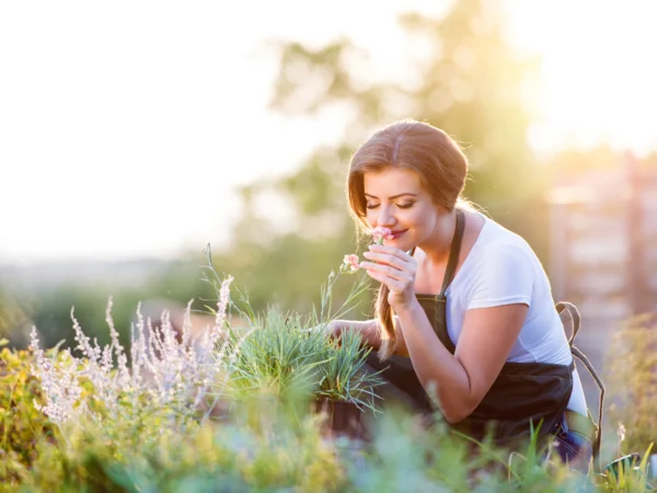 Cursos en Técnicas de Jardinería